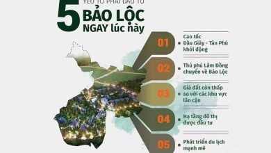 5 lý do nên đầu tư vào bảo lộc ngay lúc này