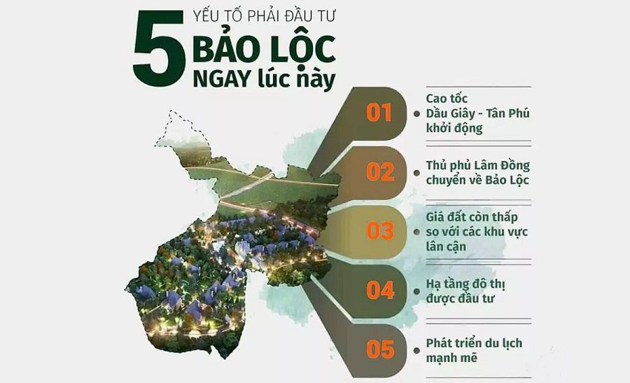 5 lý do nên đầu tư vào bảo lộc ngay lúc này